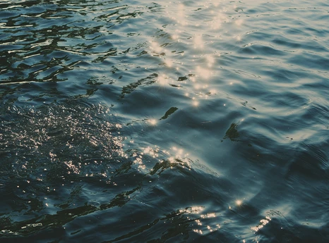 Окружающая природа